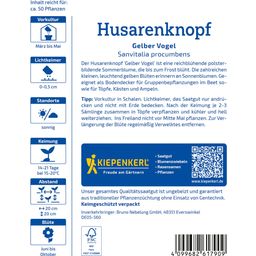 Kiepenkerl Husarenknopf Gelber Vogel - 1 Pkg