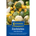 Kiepenkerl Zierkürbis Deko Mischung - 1 Pkg