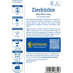 Kiepenkerl Zierkürbis Deko Mischung - 1 Pkg