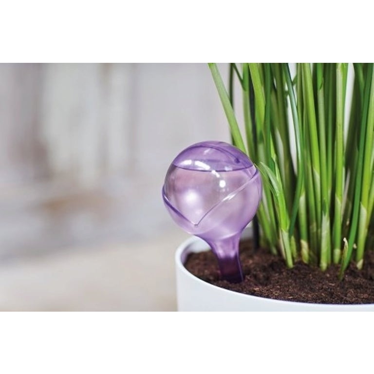 Elho Aqua Care Bewässerungskugel - Pflanzenbewässerung Für Zimmerpflanzen