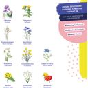 Magic Garden Seeds Droogbloemen - Zaadset voor Starters