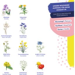 Magic Garden Seeds Droogbloemen - Zaadset voor Starters