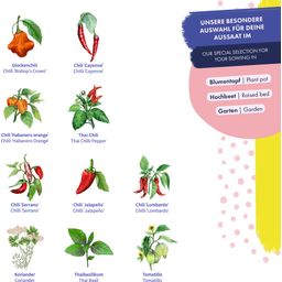 Magic Garden Seeds Set di Semi - Chilis & Friends