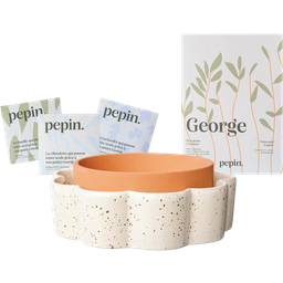 Pepin George - The self watering Kitchen pot - 1 Set