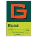 Piccolo Seeds G - Geranium - Wiesen-Storchschnabel