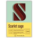 Piccolo Seeds S - Scarlet sage - Scharlachroter Salbei