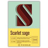 Piccolo Seeds S - Scarlet sage - Scharlachroter Salbei