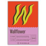 Piccolo Seeds W - Wallflower - Goldlack