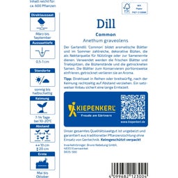 Kiepenkerl Dill Common - 1 Pkg