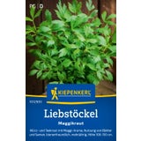 Kiepenkerl Lovage