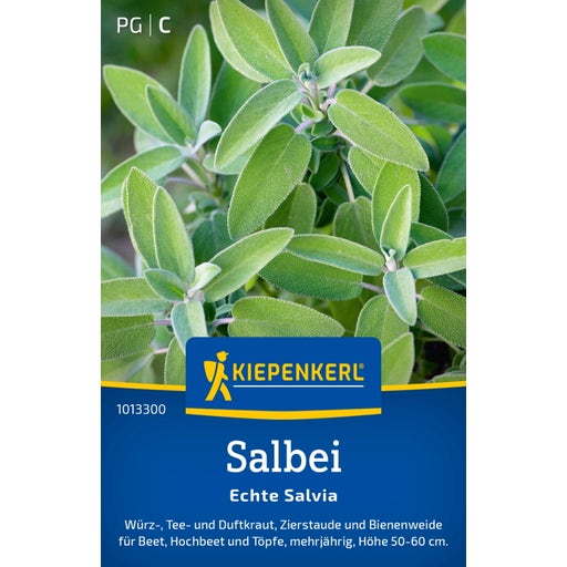Kiepenkerl Salbei Echte Salvia - 1 Pkg