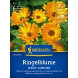 Kiepenkerl Marigold Calendula officinalis