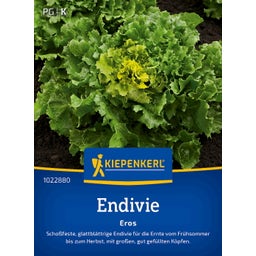 Kiepenkerl Endive Eros - 1 Pkg