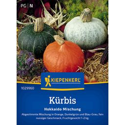 Kiepenkerl Pumpkin 