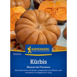 Kiepenkerl Pumpkin 