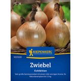 Kiepenkerl Onion "Exhibition"