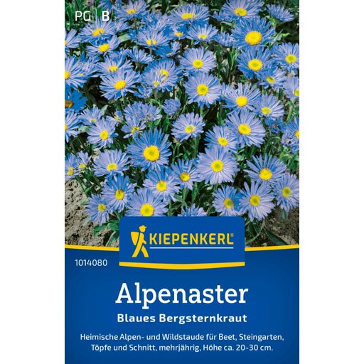 Kiepenkerl Svetlo modra alpska nebina - 1 pkt.