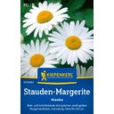 Kiepenkerl Perennial Daisy Alaska - 1 Pkg