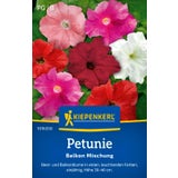 Kiepenkerl Petunia "Balcony Mix"