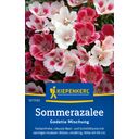 Kiepenkerl Clarkia amoena - 1 Pkg