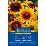 Kiepenkerl Black Eyed Susan Mix