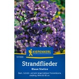 Kiepenkerl Blue Statice - Limonium sinuatum