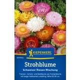 Kiepenkerl Strawflower Swiss Giant Mixture