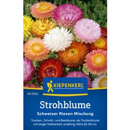 Kiepenkerl Strawflower Swiss Giant Mixture - 1 Pkg