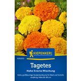 Kiepenkerl Marigold Tagetes "Hohe Erecta" Mix