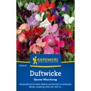 Kiepenkerl Sweet Pea Colourful Mix - 1 Pkg