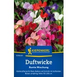 Kiepenkerl Sweet Pea Colourful Mix