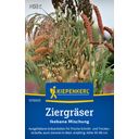 Kiepenkerl Ornamental Grasses Ikebana Mix - 1 Pkg