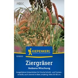 Kiepenkerl Ornamental Grasses Ikebana Mix - 1 Pkg