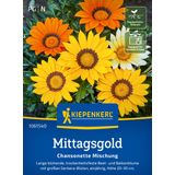 Kiepenkerl Gazania rigens "Chansonette Mix"