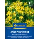 Kiepenkerl St. John's Wort - Perennial - 1 Pkg