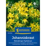 Kiepenkerl St. John's Wort - Perennial