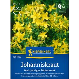 Kiepenkerl St. John's Wort - Perennial - 1 Pkg