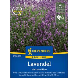 Kiepenkerl Lavender 