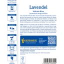 Kiepenkerl Lavender 