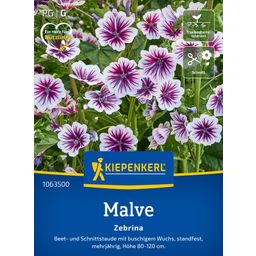 Kiepenkerl Zebra Mallow 