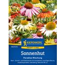 Kiepenkerl Coneflower Paradiso Mix - 1 Pkg