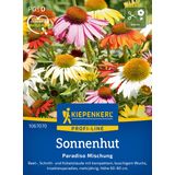 Kiepenkerl Coneflower Paradiso Mix