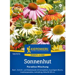 Kiepenkerl Coneflower Paradiso Mix - 1 Pkg