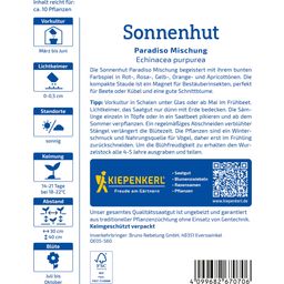 Kiepenkerl Coneflower Paradiso Mix - 1 Pkg