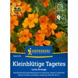 Kiepenkerl Kleinblütige Tagetes Luna Orange