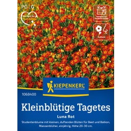 Kiepenkerl Small Flowered Marigolds 