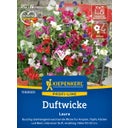 Kiepenkerl Sweet Pea Laura - 1 Pkg