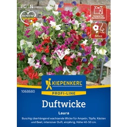 Kiepenkerl Sweet Pea Laura - 1 Pkg