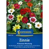 Kiepenkerl Zinnia - Profusion Mix