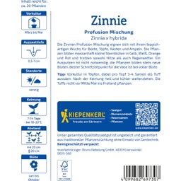 Kiepenkerl Zinnia Profusion Mix - 1 Pkg